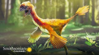 Prehistoric Dinosaur Bird Fossils Found in China Are Amazingly Detailed  Smithsonian Channel [upl. by Conlee]