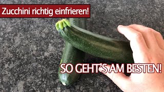 Zucchini einfrieren amp richtig auftauen  Tipps amp Tricks [upl. by Ateuqram]