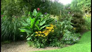 Saltram House Gardens National Trust Plymouth [upl. by Natalina]