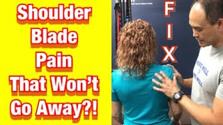 Shoulder Blade Pain One Easy Fix  Dr K amp Dr Wil [upl. by Hasin146]