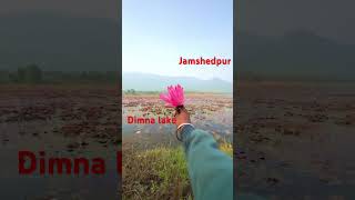 Dimna lake Jamshedpur [upl. by Raskin]