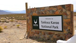 Day 20  Tankwa Karoo National Park [upl. by Rehpotirhc]