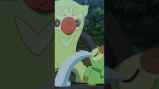 Thwackey helping Grookey pokemon anime pokemonjourneys grookey [upl. by Schlenger549]