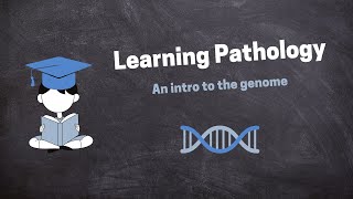 Pathology Introduction Lecture [upl. by Anahcra]