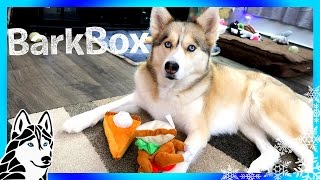 ALL THE TOYS BELONG TO SHELBY  Thanksgiving Bark Box Unboxing with Dog Commentary [upl. by Dulcia]