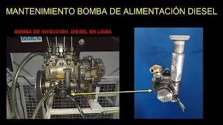 TIPS DE BOMBA DE ALIMENTACIÓN DIESEL [upl. by Llennehc930]