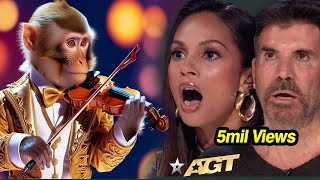 First Monkey to Play an INSTRUMENT on AGT Emotional Audition  Everyone Tears agtmagic viralvideo [upl. by Ut]