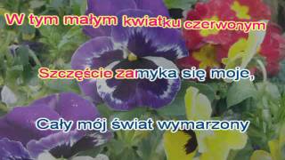 W tym małym kwiatku czerwonym  karaoke [upl. by Neenad]