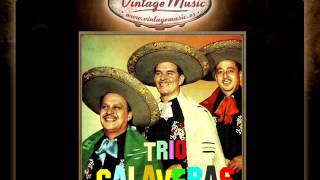 Trio Calaveras  El Pájaro Chogüi Canción Guaraní VintageMusices [upl. by Biddy]