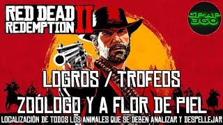 Red Dead Redemption 2  Localización de todos los animales  LogroTrofeo Zoólogo y A flor de piel [upl. by Katti]