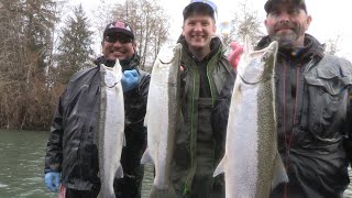 Queets River Winter Steelhead [upl. by Leeda715]