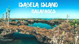 Visiting Isabela Island Galapagos Islands Ecuador [upl. by Sivart]