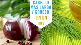 Máximo CRECIMIENTO DEL CABELLO CON CEBOLLA  Champú de cebolla para crecer más rápido el cabello [upl. by Danelle809]