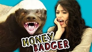 Teens React to the Honey Badger ft Alex Steele [upl. by Kaila39]