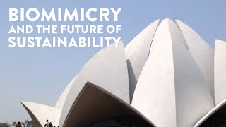 Biomimicry and The Future of Sustainability [upl. by Rucker561]