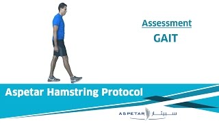 3 Assessment  GAIT WALKING [upl. by Haggai983]