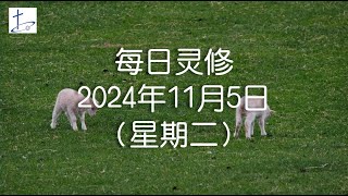 每日灵修2024年11月5日（星期二）使徒行传17章2至4节 English translation in description box [upl. by Scurlock]