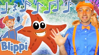 Ocean Animals Song by Blippi  Educational Songs For Kids [upl. by Atirres]