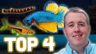 Top 4 Betta Tank Mates [upl. by Mook]