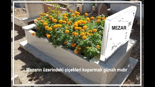 Mezarın üzerindeki çiçekleri koparmak günah mıdır [upl. by Otreblig]