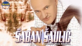 Saban Saulic  Cekanje me razbolelo  Audio 2003 [upl. by Ball]