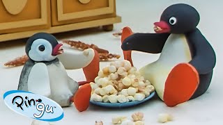 Pingu at Home 🐧  Pingu  Official Channel  Cartoons For Kids [upl. by Akcira]