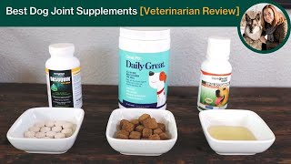 Best Joint Supplements for Dogs Veterinarian Review [upl. by Sufur]