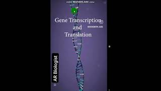 PROTEIN SYNTHESISDemonstrationExplanationUrduEnglish [upl. by Anin]