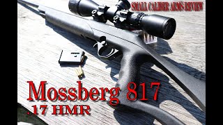 Mossberg 817 an inexpensive lightweight bolt action 17 HMR [upl. by Fredela16]