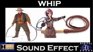 Sound Effects for Whip  Best Whip Sounds [upl. by Claudelle309]