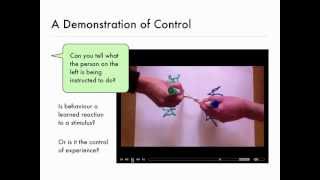 Visual Demonstrations and Introduction to Perceptual Control Theory [upl. by Aenej]