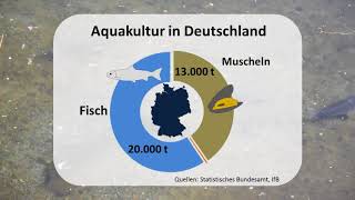 Aquakultur in Deutschland [upl. by Keisling]