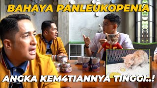 PAN1KK TINGKAT V1RUS PANLEUKOPENIA MAKIN TINGGI [upl. by Ydoc910]