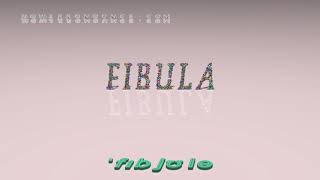 fibula  pronunciation in British English three voices  accents [upl. by Mieka]