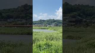 Suncheon  Land train back to the sky train station southkorea suncheon nature [upl. by Mcmahon]