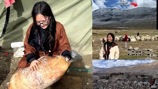 Jangthang Chumar ll Nomadic life ☘️ll Tibet Border ll Tsomoriri ll Meet My Cousin 🤩ll Tibetan vlog [upl. by Notsej]