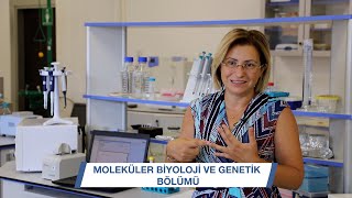 MolekuÌˆler Biyoloji ve Genetik BoÌˆluÌˆmuÌˆ Nedir [upl. by Sucul]