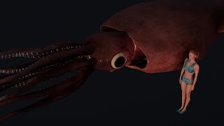 Colossal Squid size in 3D [upl. by Atsugua388]