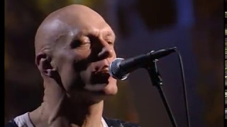 Midnight Oil  Truganini from MTV Unplugged DVD [upl. by Eillek]