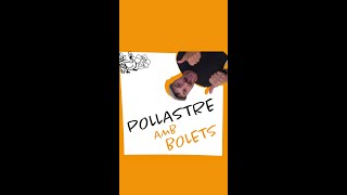 POLLASTRE amb BOLETS en 1 minut [upl. by Seessel]