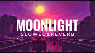 Moonlight  Harnoor Punjabi Song  slowed and reverb [upl. by Pharaoh]