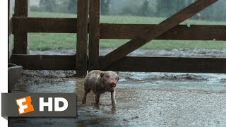 Charlottes Web 210 Movie CLIP  Wilbur Plays in the Mud 2006 HD [upl. by Ithnan]