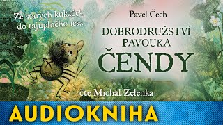 Pavel Čech  Dobrodružství pavouka Čendy [upl. by Wolbrom]