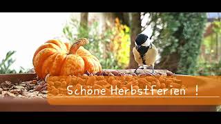 Schöne Herbstferien [upl. by Nemzaj]