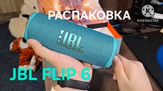 РАСПАКОВКА ОФИГЕННОЙ КОЛОНКИ JBL FLIP 6 [upl. by Nanam]