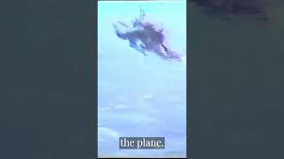 Two Planes Collide MidAir What Happened Next Will SHOCK You [upl. by Aidil]