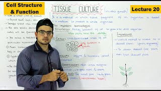 Tissue culture in vitro Growth  Basic technique of Biology  Video 20 [upl. by Mcadams]