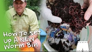 How I Start A New Worm Bin amp 6 Day Check In  Vermicompost Worm Farm [upl. by Eelaras]