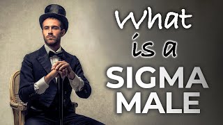 What is a Sigma Male How to Spot the Sigma Males [upl. by Virgy641]