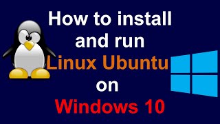 How to install Linux Ubuntu on Windows 10 WSL and VM [upl. by Aik]